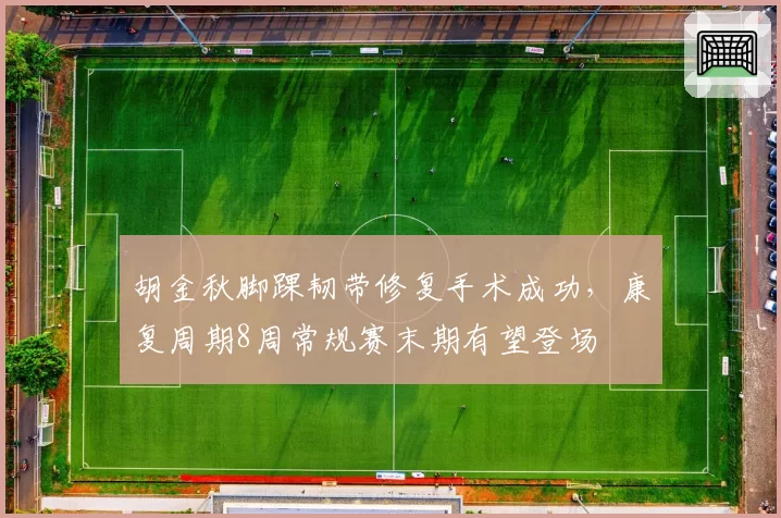 胡金秋脚踝韧带修复手术成功,康复周期8周常规赛末期有望登场