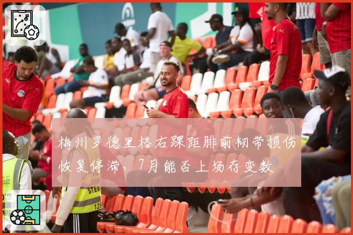 梅州罗德里格右踝距腓前韧带损伤恢复停滞，7月能否上场存变数