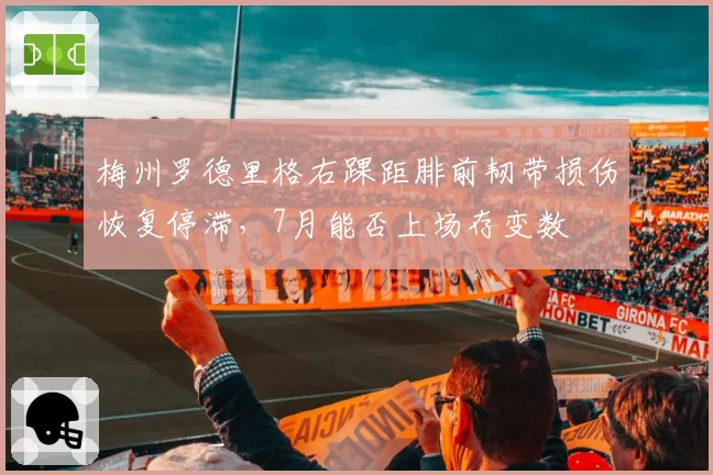 梅州罗德里格右踝距腓前韧带损伤恢复停滞，7月能否上场存变数